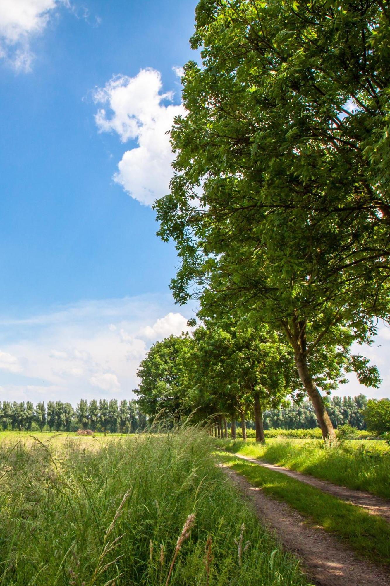 Vakantiewoningen Eyveld Beesel Buitenkant foto